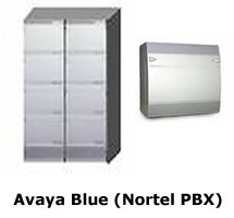 Avaya Blue